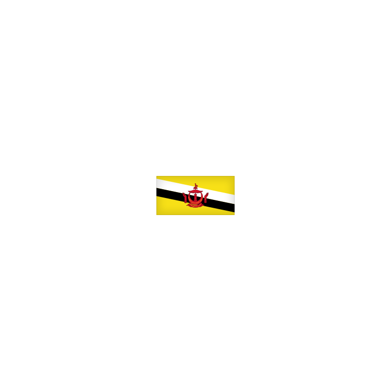Bandera de BRUNEI