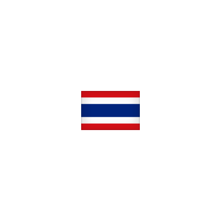 Bandiera Thailandia 70x105 cm da pennone