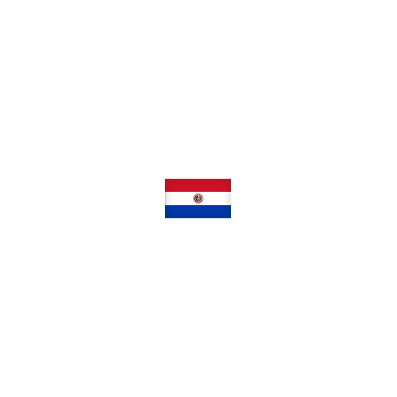 Bandera de PARAGUAY