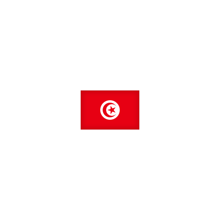 Bandera de TUNEZ