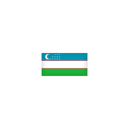 Bandera de UZBEKISTAN