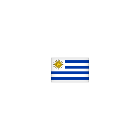 Bandera de URUGUAY